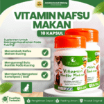 VITAMIN NAFSU MAKAN 10 KAPSUL BY OLIVE CARE – Untuk Kitten Kucing.