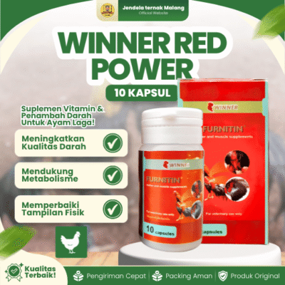 WINNER RED POWER (10 KAPSUL) – Suplemen Vitamin Penambah Darah Ayam
