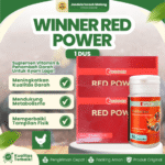 WINNER RED POWER 1 DUS (12 BOTOL @10 KAPSUL) – Suplemen Vitamin Penambah Darah Ayam