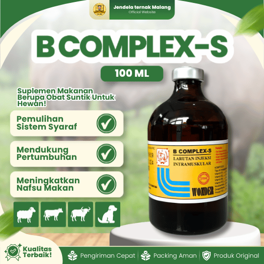 B COMPLEX-S BY WONDER 100 ML - Memperbaiki Syaraf Yang Terganggu & Meningkatkan Nafsu Makan.