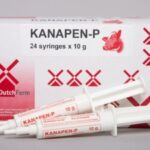 KANAPEN P 1 BOX ISI 24 SYRINGE - Untuk Masalah Mastitis Pada Ternak Sapi