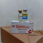 VAKSIN HOG CHOLERA (CSF) - Untuk Babi Dosis 20 Ekor.