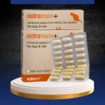 NUTRAMARIN PLUS 1 KAPSUL - Mencegah Gangguan Liver Hati Untuk Kucing & Anjing