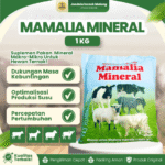 MAMALIA MINERAL 1 KG BY USFA – Mineral Menguatkan,  Memperlancar & Memperbanyak Susu.
