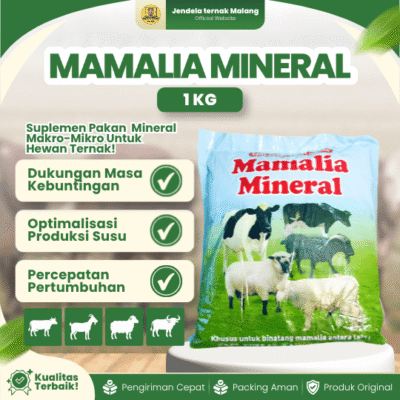 MAMALIA MINERAL 1 KG BY USFA – Mineral Menguatkan,  Memperlancar & Memperbanyak Susu.