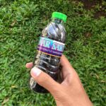 KETAN HITAM PERKUTUT BY SINAR SAKTI - Ramuan Madura khusus Menjaga Stamina & kesehatan Burung