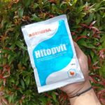 10 PCS HITOPVIT 100 GRAM BY AGRINUSA LEBIH MURAH - Multivitamin Meningkatkan Daya Tahan Tubuh Untuk Ayam & Unggas.