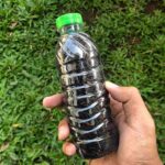 KETAN HITAM PERKUTUT BY SINAR SAKTI - Ramuan Madura khusus Menjaga Stamina & kesehatan Burung