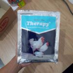 THERAPY 250 GRAM BY MEDION - Mengatasi CRD, Coryza, Snot, & Flu Pada Hewan Unggas.