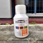 RODALON 100 ML - Disenfektan Ampuh Pembasmi Bakteri, Virus, Fungi & Kuman.