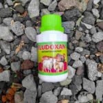 FLUDOXAN 120 ML - Mengatasi Flu, Batuk & Pilek Untuk Hewan Ternak Kesayangan.