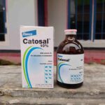 CATOSAL 100 ML BY ELANCO - Penguat Metabolisme Stamina Dan Combiboost ATP B12 Butafosfan Lengkap.