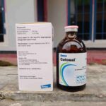 CATOSAL 100 ML BY ELANCO - Penguat Metabolisme Stamina Dan Combiboost ATP B12 Butafosfan Lengkap.