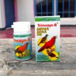 TRIMEZYN B BURUNG 1 DUS (12 BOTOL) - Obat Pernapasan Burung, Sakit Sesak Pernafasan, Muka Bengkak
