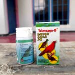 TRIMEZYN B BURUNG 1 DUS (12 BOTOL) - Obat Pernapasan Burung, Sakit Sesak Pernafasan, Muka Bengkak