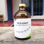 VETADON 100 ML BY KALBE - Pereda Sakit, Demam & Kejang Pada Hewan Ternak Kesayangan.