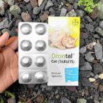 DRONTAL CAT ED PANJANG TABLET ECER BAYER - Untuk Mengatasi Cacingan Pada Kucing Dewasa & Kitten