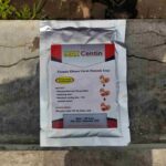 MAX CENTIN 100 GRAM - Untuk Pemerah Kuning & Menebalkan Cangkang Pada Telur Ayam & Bebek