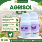 AGRISOL 100 ML BY AGRINUSA – Untuk Infeksi Pernapasan & Sistemik Coryza, CRD, Colibacillosis Unggas.