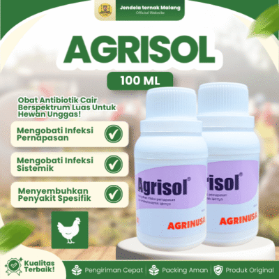 AGRISOL 100 ML BY AGRINUSA – Untuk Infeksi Pernapasan & Sistemik Coryza, CRD, Colibacillosis Unggas.