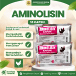 AMINOLISIN 10 KAPSUL - Vitamin Meningkatkan Selera Makan Pada Ayam.