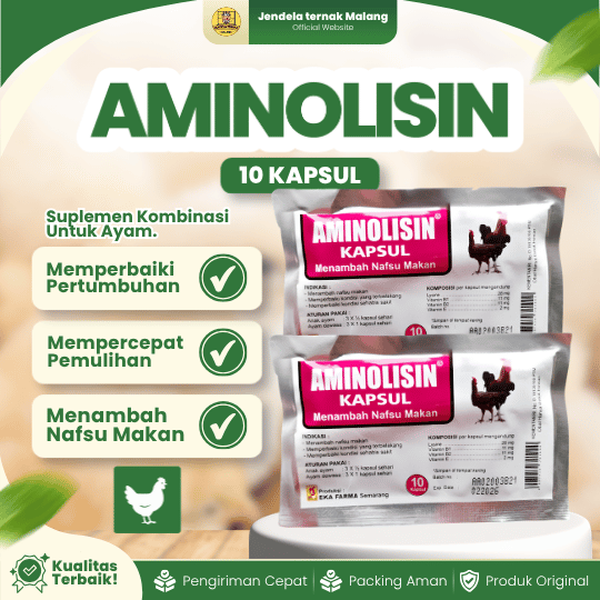 AMINOLISIN 10 KAPSUL - Vitamin Meningkatkan Selera Makan Pada Ayam.