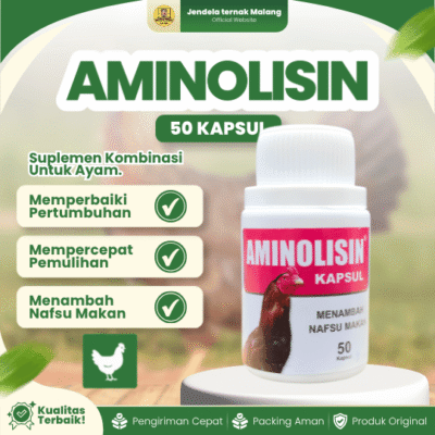 AMINOLISIN BOTOL ISI 50 KAPSUL – Untuk Menambah Selera Makan Pada Ayam.