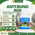 ANTI BUNG 120 ML RAID ALL - Untuk Masalah Kembung Pada Hewan Ternak Sapi Kambing Domba Babi