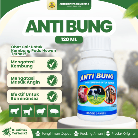 ANTI BUNG 120 ML RAID ALL - Untuk Masalah Kembung Pada Hewan Ternak Sapi Kambing Domba Babi