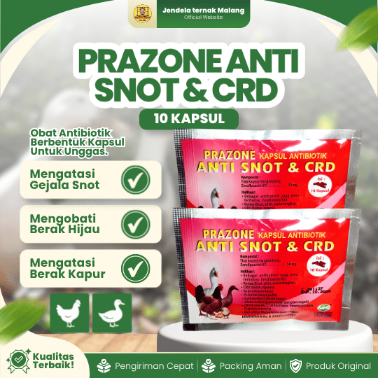 PRAZONE ANTI SNOT & CRD 10 KAPSUL RAID-ALL - Untuk Masalah Pada unggas Ayam Bebek