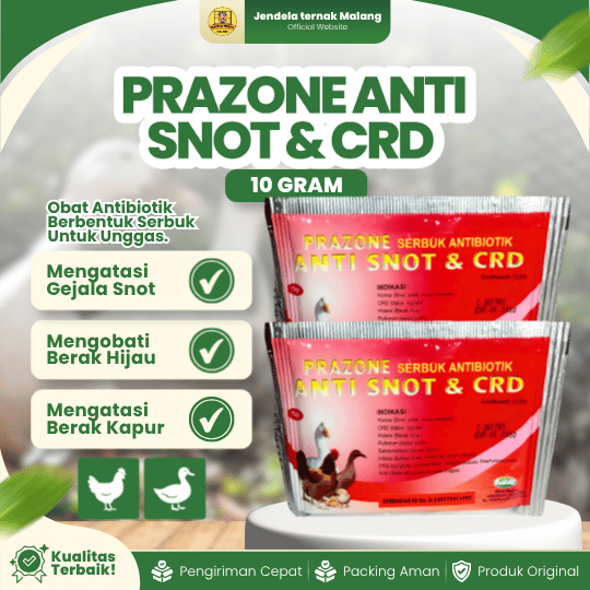 PRAZONE ANTI SNOT & CRD SERBUK 10 GRAM RAID-ALL - Untuk Masalah Pada unggas Ayam Bebek