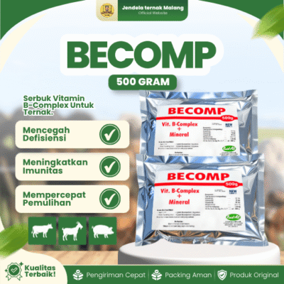 BECOMP 500 GRAM RAID-ALL – Vitamin B Komplek dan Mineral Untuk Unggas, Sapi, Kambing dan Babi