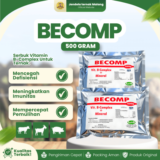 BECOMP 500 GRAM RAID-ALL - Vitamin B Komplek dan Mineral Untuk Unggas, Sapi, Kambing dan Babi