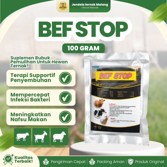 BEF STOP 100 GRAM - Suplemen Recovery Demam, Ambruk, Selera Makan Pada Hewan Ternak.