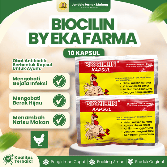 BIOCILIN 10 KAPSUL BY EKA FARMA - Ampuh Meningkatkan Selera Makan & Atasi Sakit Pada Ayam.