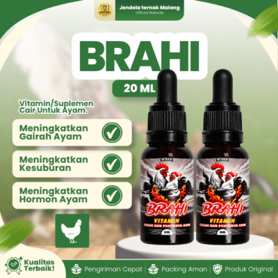 BRAHI 20 ML – Vitamin Penyubur Reproduksi Pada Ayam Jantan & Betina.