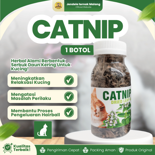 CATNIP BOTOL - Daun Akar CATNIP Untuk Kucing Fly, Stress Dan Mainan Kucing.