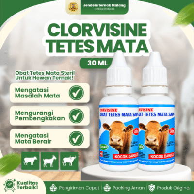 CLORVISINE TETES MATA SAPI 30 ML – Untuk Masalah Pada Mata Hewan Ternak Sapi Kambing Kerbau