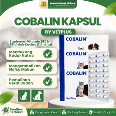 COBALIN KAPSUL BY VETPLUS – Suplemen Yang Kekurangan Vitamin B9 & B12 Untuk Anjing & Kucing.