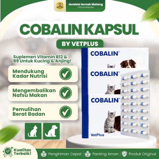COBALIN KAPSUL BY VETPLUS - Suplemen Yang Kekurangan Vitamin B9 & B12 Untuk Anjing & Kucing.