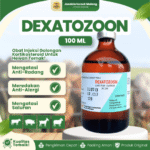 DEXATOZOON 100 ML – Untuk Masalah Anti Inflamasi Anti radang Anti alergi Hewan