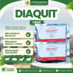 DIAQUIT 100 GRAM 1 BOX (10 SACHET) MEDION – Untuk Masalah Diare Sapi Kambing Domba Kerbau Kuda Babi