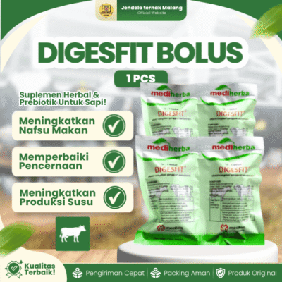 DIGESFIT BOLUS – Untuk Gangguan Pencernaan & Menambah Selera Makan Pada Hewan Ternak.