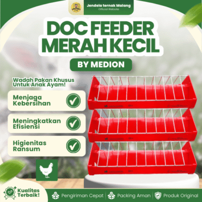 DOC FEEDER MERAH KECIL MEDION – Tempat Pakan Makan Ayam DOC Berkualitas.
