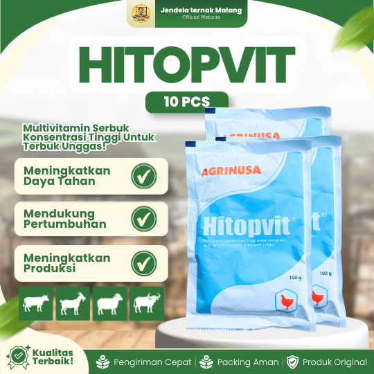 10 PCS HITOPVIT 100 GRAM BY AGRINUSA LEBIH MURAH - Multivitamin Meningkatkan Daya Tahan Tubuh Untuk Ayam & Unggas.