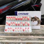 CYSTAID 1 PACK ISI 30 KAPSUL VETPLUS - Untuk Menjaga & Mengatasi Kesehatan Kandung Kemih Kucing.