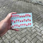 CYSTAID 1 PACK ISI 30 KAPSUL VETPLUS - Untuk Menjaga & Mengatasi Kesehatan Kandung Kemih Kucing.