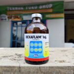 DEXAFLAM 100 ML - Untuk Mengatasi Peradangan & Anti Alergi Hewan.