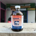 INJEKVIT B1 100 ML - Vitamin Untuk Mencegah Gangguan Syaraf & Menambah Selera Makan Hewan.