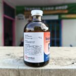 INJEKVIT B1 100 ML - Vitamin Untuk Mencegah Gangguan Syaraf & Menambah Selera Makan Hewan.